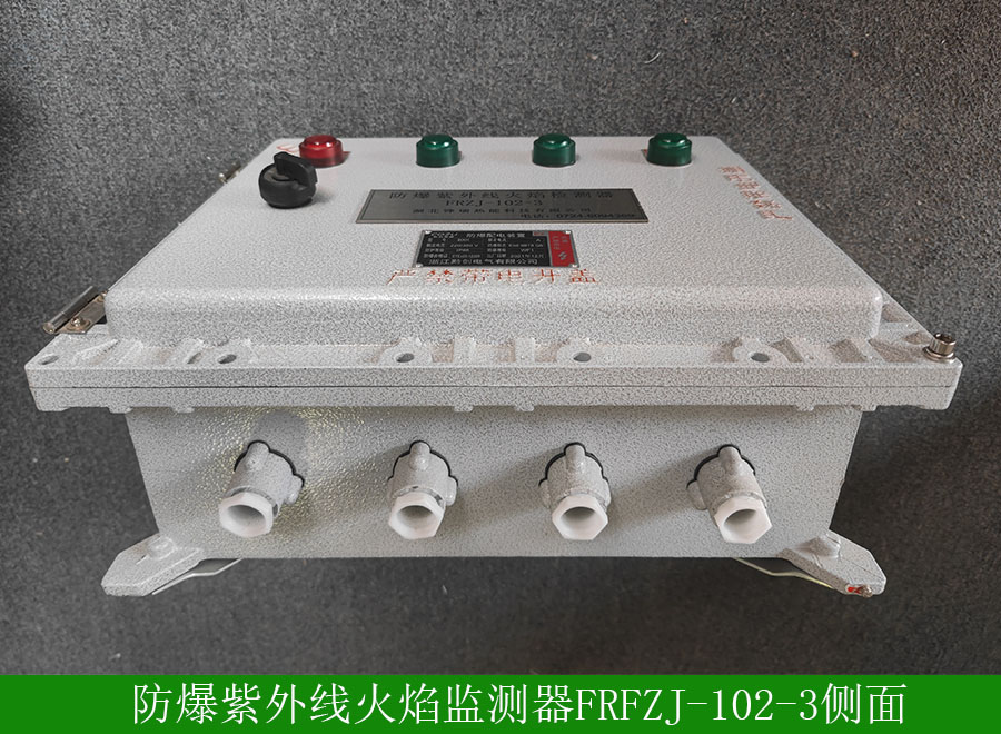 防爆紫外線火焰檢測(cè)器FRFZJ1023