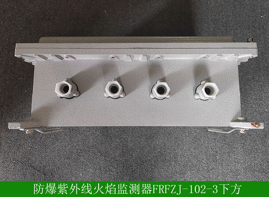 防爆紫外線火焰檢測(cè)器FRFZJ1023